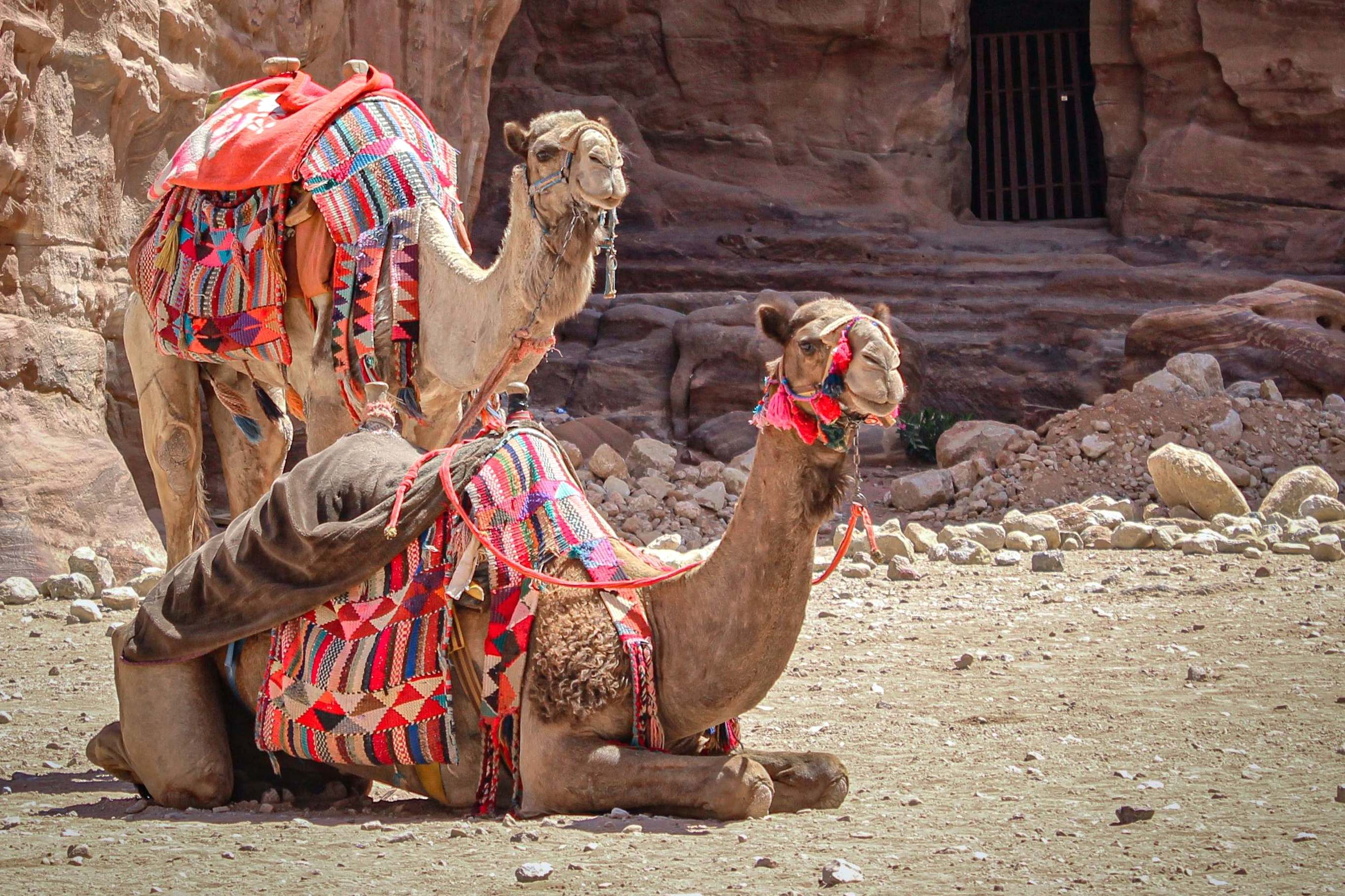 Cairo, Egypt | Packing