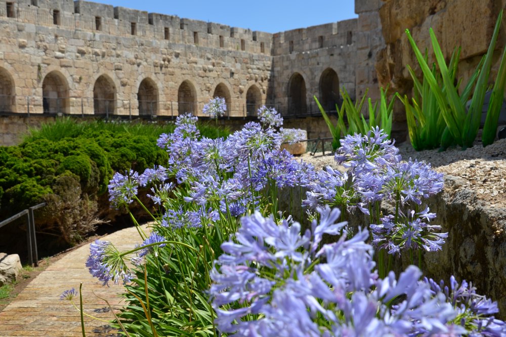 Jerusalem, Israel | Packing