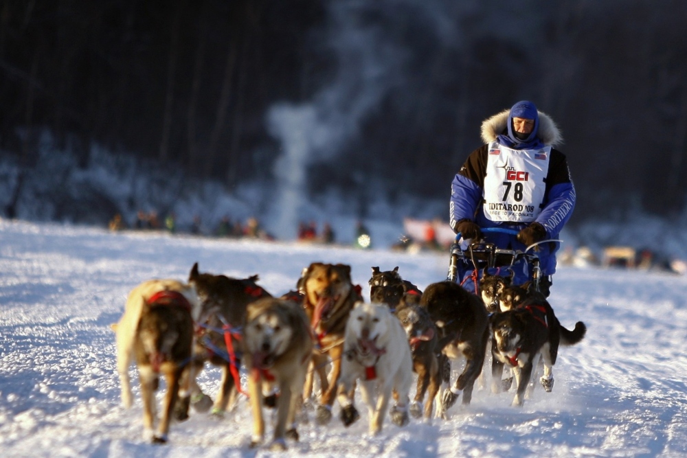 The 1,000-mile race covers some of the roughest and most beautiful terrain of mountain ranges, rivers, forests, and desolate tundra. The Iditarod Race Is Considered the Last Great Race on Earth