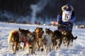 Iditarod Trail Sled Dog Race