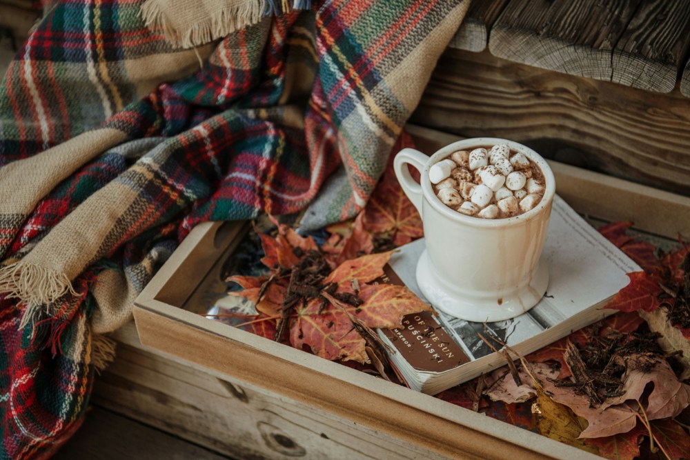 Autumn Awe | Cocoa