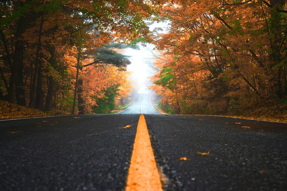 Autumn Awe | Highway
