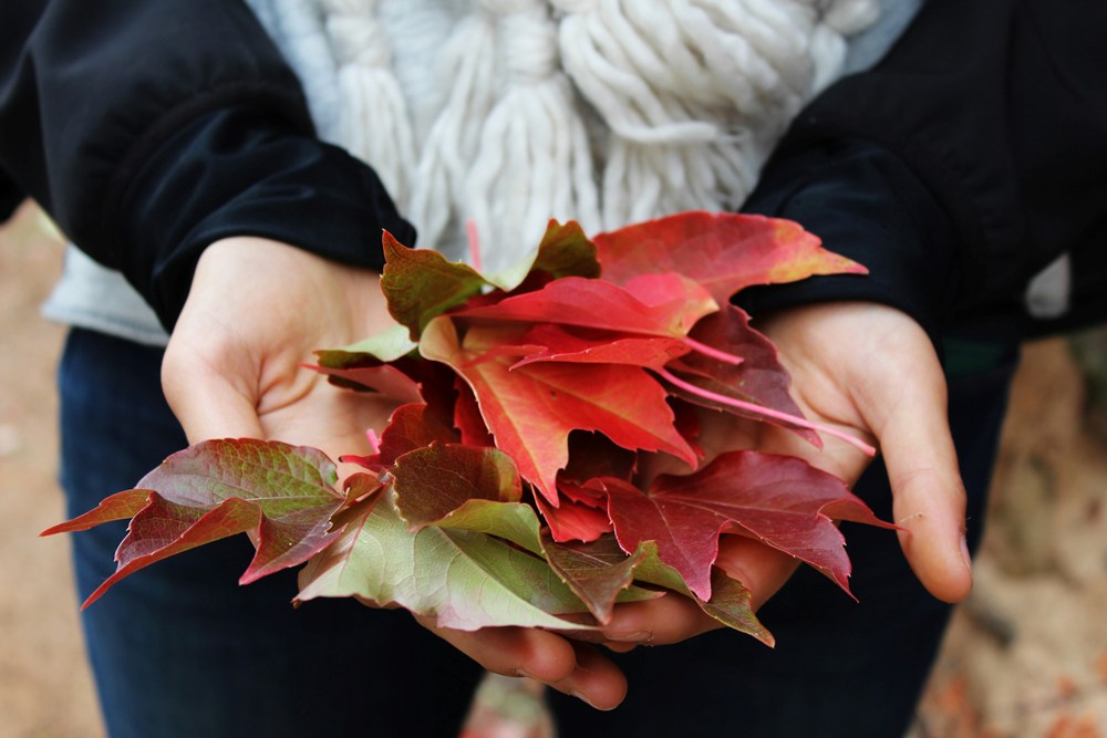 Autumn Awe | Hands