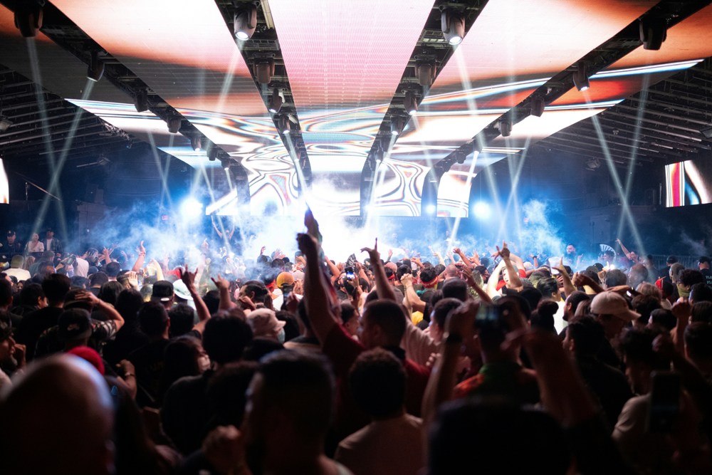 Festival Vibes | Party