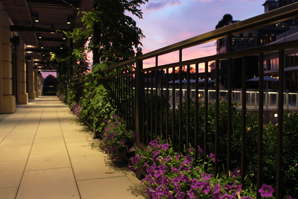 Shops at Buckhead Atlanta | Atlanta, Georgia