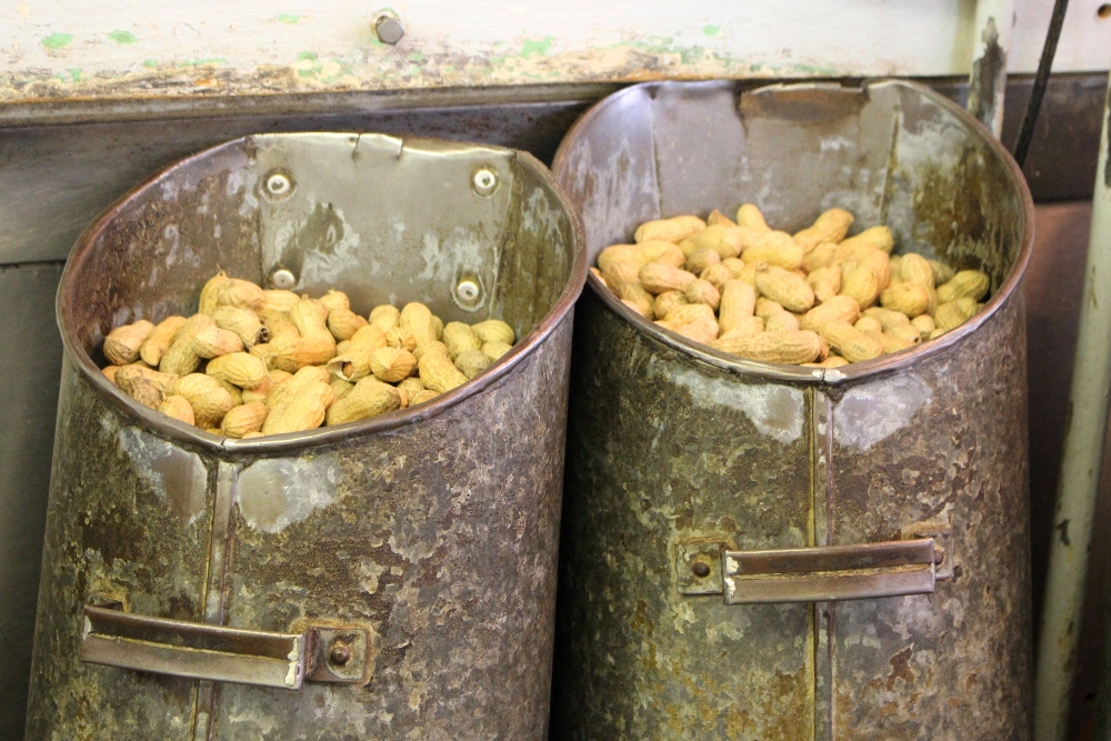 A & M Peanut Shop | Mobile, Alabama