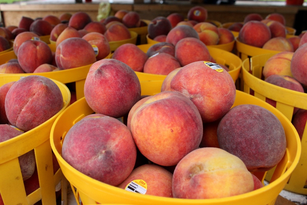 Georgia Peach World | Savannah, Georgia